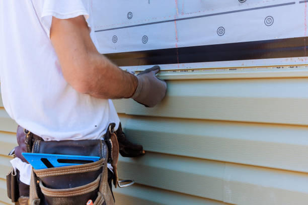 Affordable Siding Repair solutions in Caledonia, MN